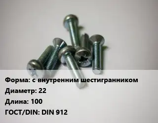 Винт с внутренним шестигранником 22х100 DIN 912